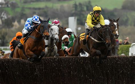 cheltenham racing bets